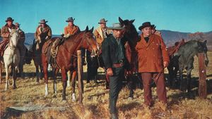 Cattle King's poster