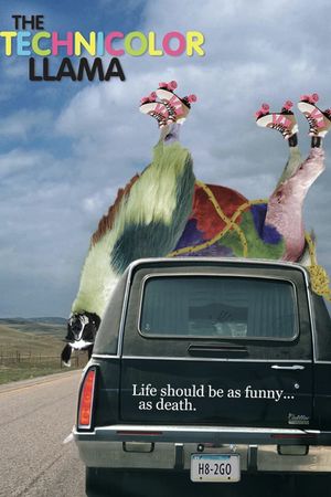 Technicolour Llama's poster