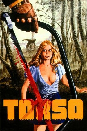 Torso's poster