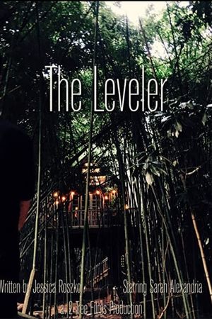The Leveler's poster