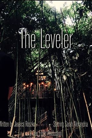 The Leveler's poster image