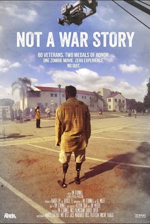 Not a War Story's poster