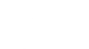 Dog Years's poster
