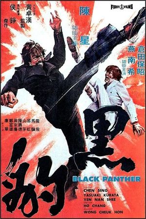 The Black Panther's poster