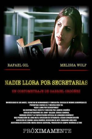 Nadie llora por secretarias's poster