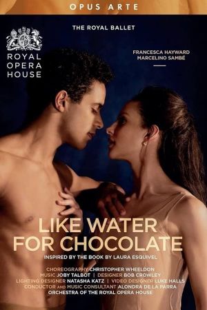 Like Water for Chocolate's poster