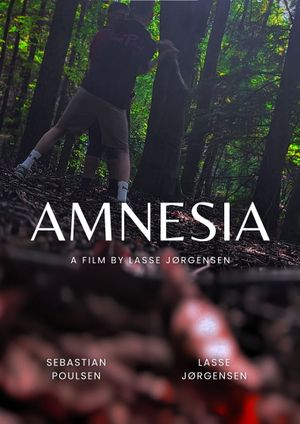 Amnesia's poster