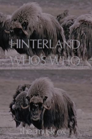 Hinterland Who's Who: The Musk Ox's poster