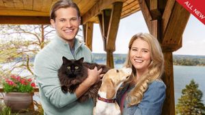 Like Cats & Dogs's poster