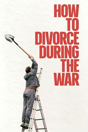 How to Divorce During the War's poster