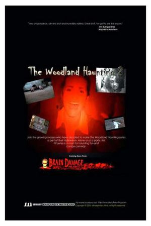 The Woodland Haunting 2's poster