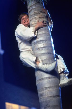 Beverly Hills Ninja's poster