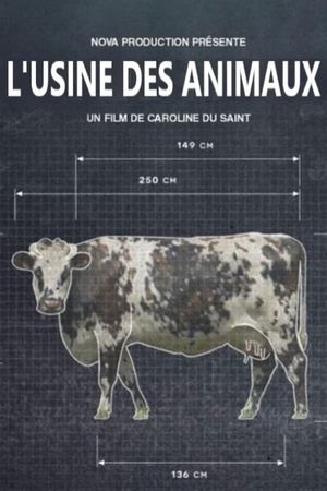 Production Line Animals's poster
