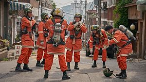 The Firefighters's poster