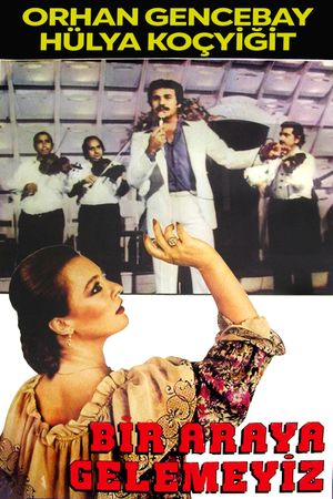 Bir Araya Gelemeyiz's poster