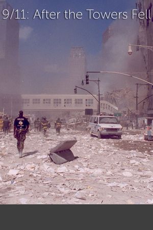 9/11: After The Towers Fell's poster image