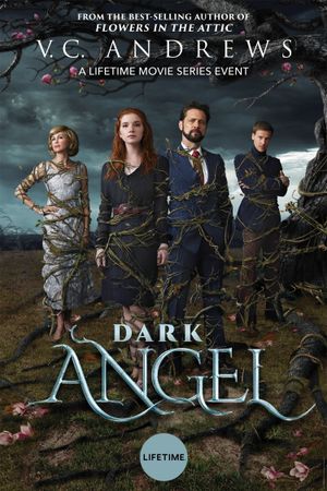 Dark Angel's poster