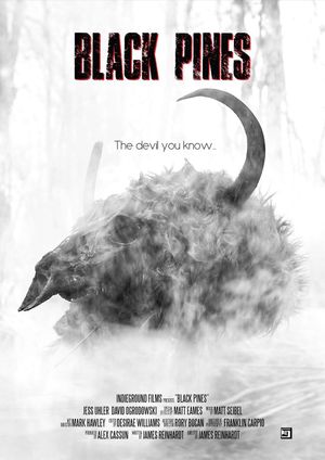 Black Pines's poster