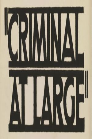 A Criminal at Large's poster