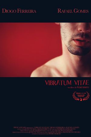 Vibratum Vitae's poster