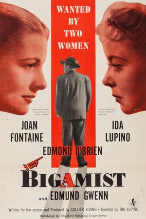 The Bigamist's poster image