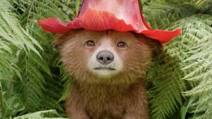 Paddington in Peru's poster