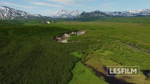 Kamchatka Bears. Life Begins's poster