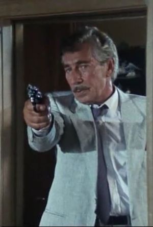 Cop Conny's poster