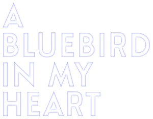 A Bluebird in My Heart's poster