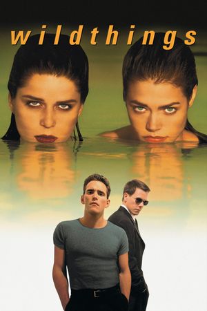 Wild Things's poster