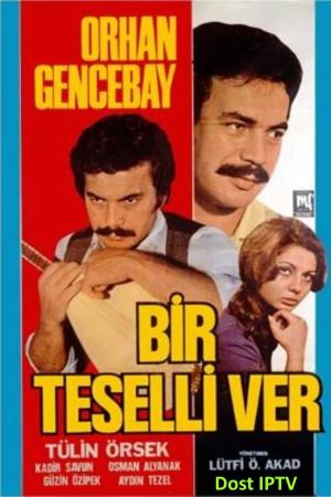 Bir Teselli Ver's poster