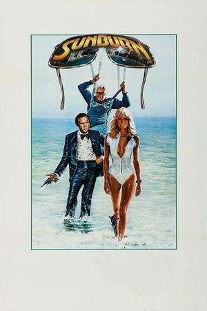 Sunburn's poster
