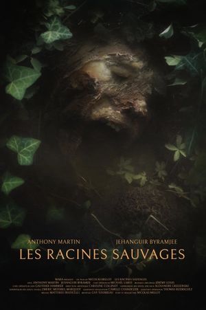 The Wild Roots's poster image