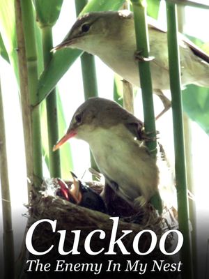 Cuckoo: The Enemy In My Nest's poster