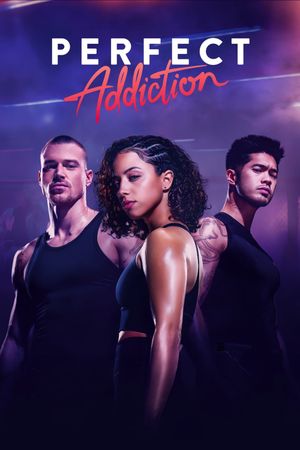 Perfect Addiction's poster