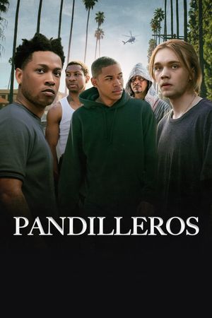 Gully's poster