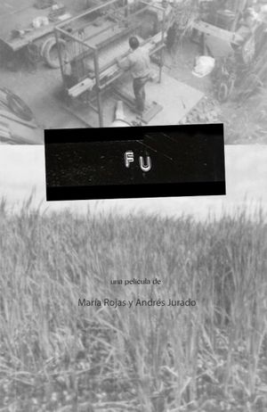 Fu's poster