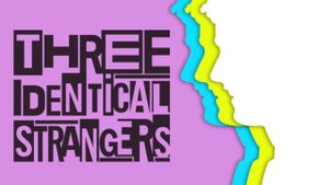 Three Identical Strangers's poster