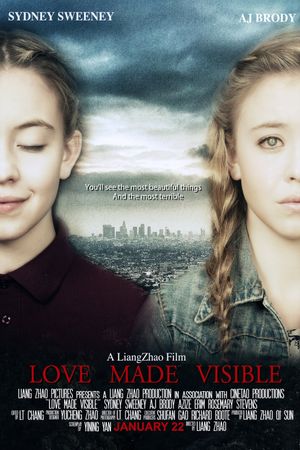 Love Made Visible's poster