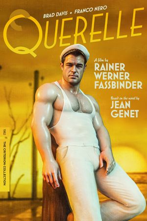 Querelle's poster