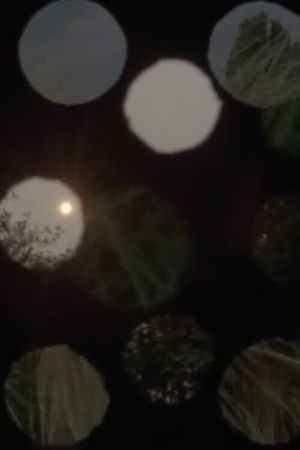 Light Coins's poster