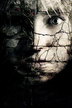 The Ruins's poster