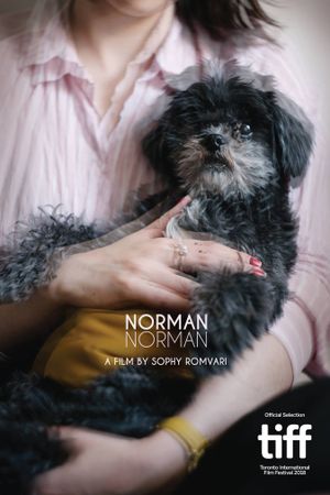 Norman Norman's poster