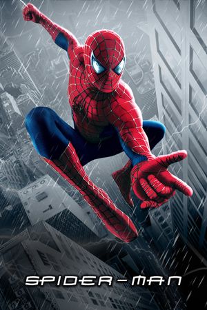Spider-Man's poster