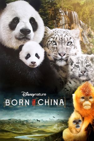 Born in China's poster image
