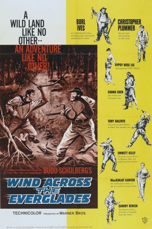 Wind Across the Everglades's poster image