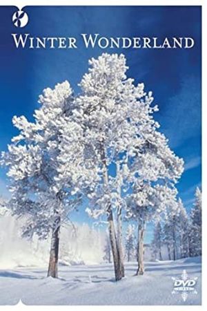 Winter Wonderland's poster