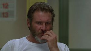 The Fugitive's poster