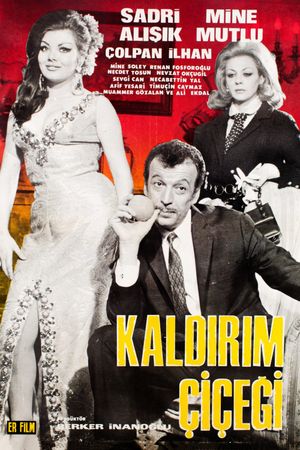 Kaldirim Çiçegi's poster