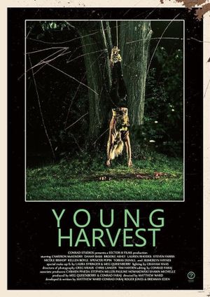 Young Harvest's poster image